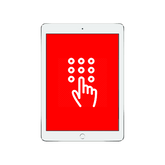 iPad Pro 11-inch Passcode Removal Service